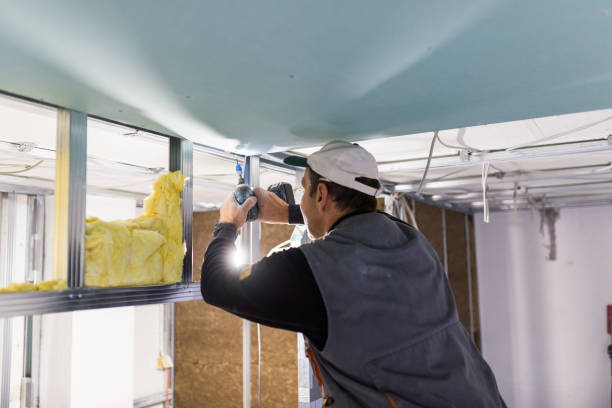 Best Spray Foam Insulation in Dublin, TX